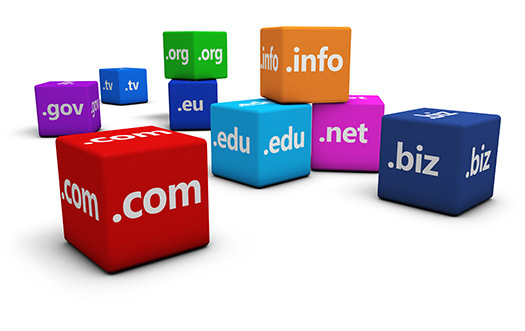 Domain name registration and management 